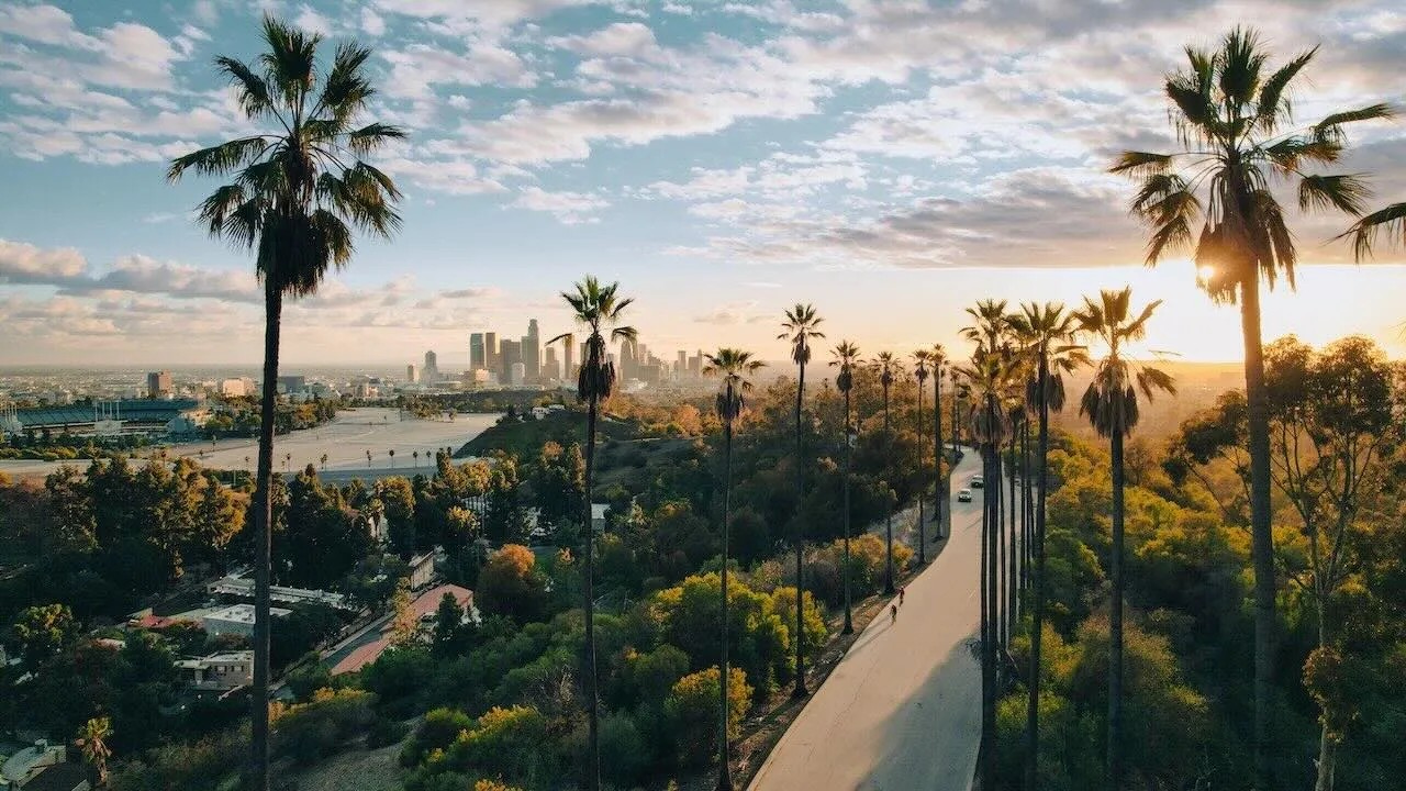 A curated look at where to stay in Los Angeles, featuring the best hotels in Los Angeles, from design-led boutique hotels to Los Angeles California luxury hotels, 5 star hotels, and hotels on the beach near Los Angeles, California.