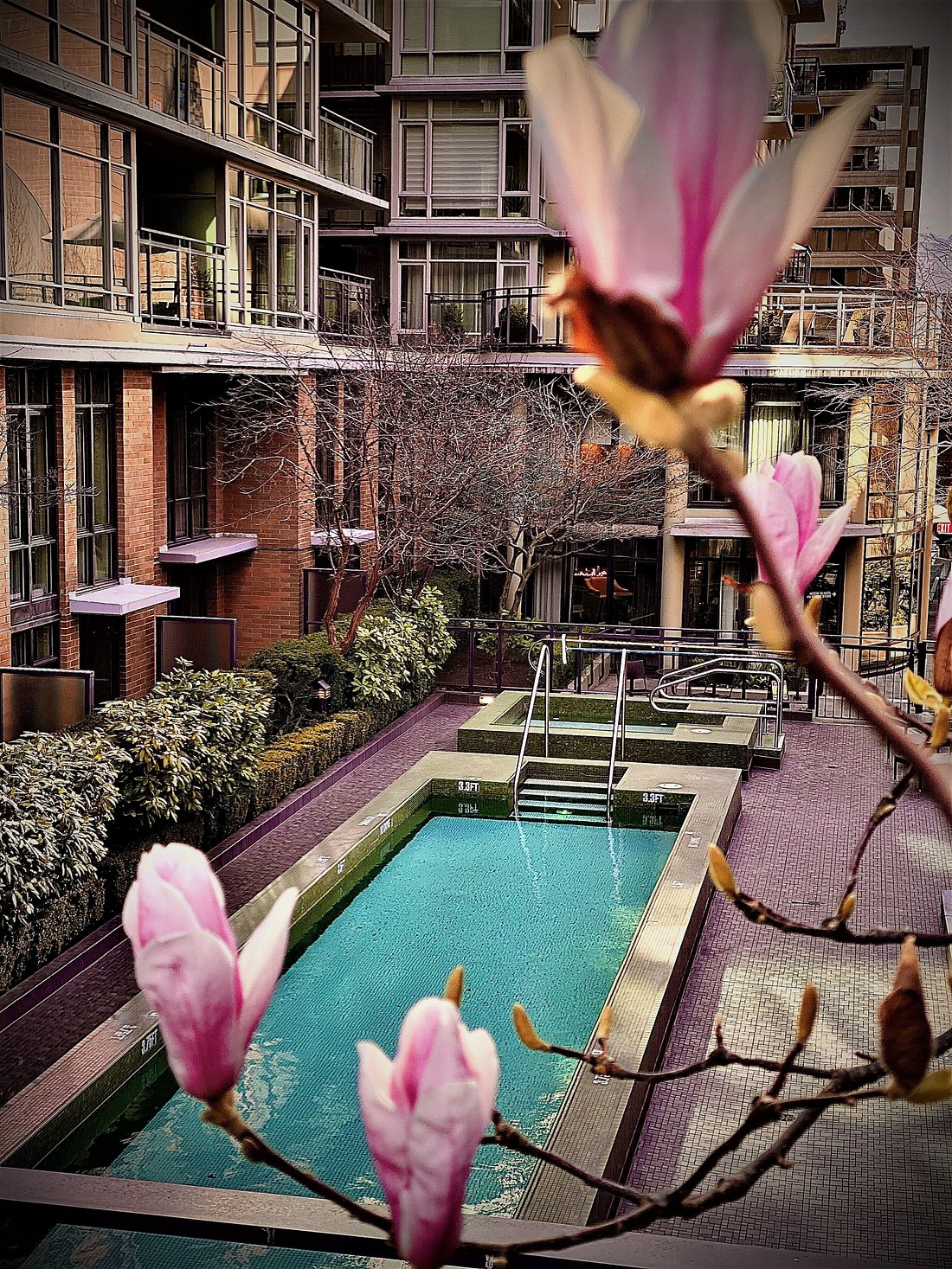 L'Hermitage Vancouver | Best Vancouver Luxury Hotels | Best Hotels Vancouver 2026 | Best hotels Vancouver BC | Nicest hotels in Vancouver | Best hotels in Vancouver | Top hotels in Vancouver | Vancouver luxury hotels | Vancouver Canada hotels | Best Vancouver hotels | Downtown Vancouver hotels | Hotels in Vancouver | North Vancouver hotel | Hotels near Vancouver convention centre | Boutique hotels Vancouver | Hotels near Rogers Centre arena Vancouver | Hotels near Stanley Park | Gastown Vancouver hotels | Pet friendly hotels Vancouver | Boutique hotels Vancouver | Small hotels Vancouver | West End Vancouver hotels | Yaletown Vancouver hotels | Jetset Select